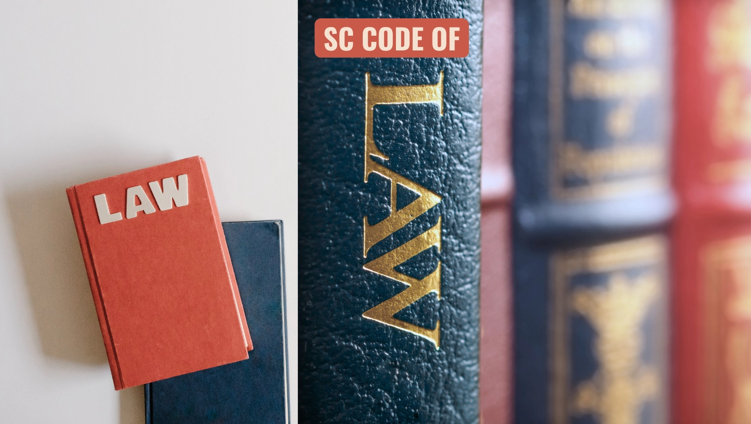 2025 Legislative Recap – Part Two: Is There Anything the State Will Not Control?