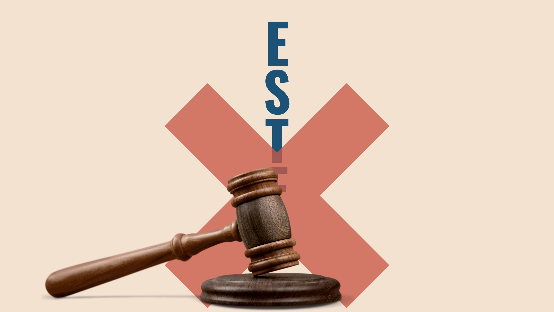 ESTF Legislation Exposed:  
South Carolina Supreme Court Finds ESTF Legislation Unconstitutional